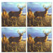 Tuftop Deer Local Legend Coasters (Set of 4)