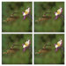 Tuftop Hummingbird and Columbine Coasters (Set of 4)