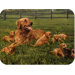 Tuftop Retriever and Pups Cutting Board