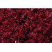 Ronaldo Ruby Rug