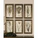 Wheat Grass Wall Art (Set of 6)
