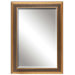 Vilas Mirror