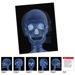 Human Body Card (Set of 18)