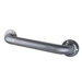 Decorative Textured Grab Bar with Exposed Screw in Satin Nickel