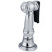 Brass Side Sprayer with 48" Hose