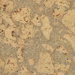 Floor Tiles 12" Solid Cork in Sky