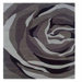 Trio With A Twist Grey/Charcoal Rug