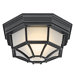  Outdoor Flush Mount in Black