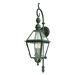 Townsend  Wall Lantern in Natural Bronze