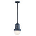 Beaumont One Light Outdoor Hanging Lantern with Clear Glass in Industrial Bronze