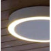 Amigo Indoor / Outdoor Ceiling / Wall Light
