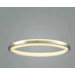 Nimba LED Foyer Pendant