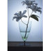Basequadra Vase