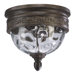 Georgia  Outdoor Flush Mount in Etruscan Sienna