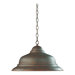 1 Light Pendant
