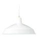 1 Light Pendant