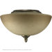 Salon Two Light Bowl Ceiling Fan Light Kit