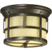 Palomar Two Light Outdoor Flush Mount in Oiled Bronze
