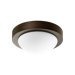 One Light Ceiling Fan in Oiled Bronze