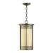 Larson One Light Outdoor Pendant in Oiled Bronze