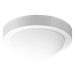 Two Light Flush Mount