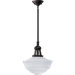 1 Light Schoolhouse Inverted Pendant