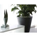 Aigua Cono Round Flower Pot Planter with Self-Watering