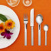 Nobel 5 Piece Flatware Set