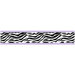 Purple Funky Zebra Wallpaper Border