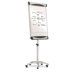 Premium Mobile Magnetic Dry Erase Easel