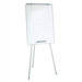Oval Office Dry Erase Presentation Easel