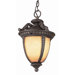  Exterior Hanging Lantern in Burnt Sienna
