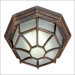 Outdoor  Fluorescent Flush Mount