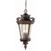  Outdoor Hanging Lantern in Patina