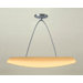 Zenith Two Light Pendant in Amber
