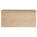 Glacier Blanket Box
