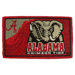 NCAA Bleached Welcome Mat