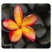 Naturesmart Mouse Pad - Floral