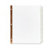 Worksaver Big Tab Dividers with Clear Tabs (8 Tabs)
