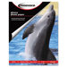 Glossy Photo Paper, 50 Sheets/Pack