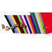 4-ply Railroad Poster Board 25 Sht
