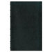Blueline Miraclebind Notebook, College/Margin