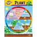 Chart Life Cycle Of A Plant K-3