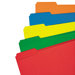 File Folders, 100/Box