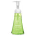 Foaming Hand Wash, Green Tea Aloe Foam, 12 Oz Bottle
