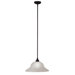 1 Light Pendant