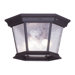 Hamilton Three Light Outdoor Flush Mount in Bronze