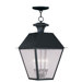 Mansfield 4 Light Outdoor Hanging Lantern