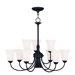 Ridgedale 10 Light Chandelier