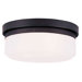 Ceiling Fixtures Or Wall Fixtures Flush Mount